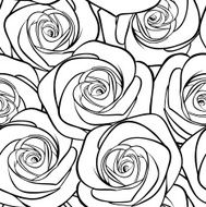 beautiful black and white seamless pattern in roses with contours