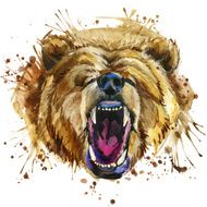 bear illustration with splash watercolor textured