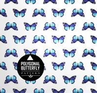 Color butterfly flying N16