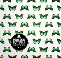 Color butterfly flying N17