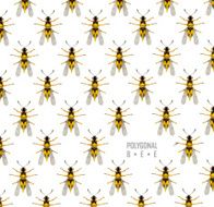 bee isolated on the white N17