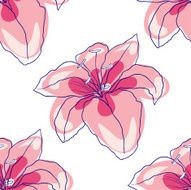 lily