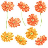Marguerite illustration N2