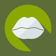 Flat modern design with shadow icon lips N5