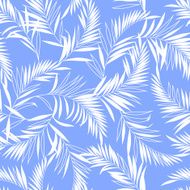 Fern pattern N6