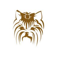 Yorkshire terrier dog