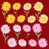 flower material N54