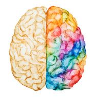 Watercolor brain N2