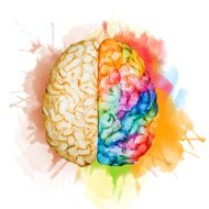 Watercolor brain N3