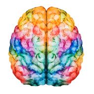 Watercolor brain N4