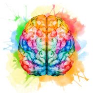 Watercolor brain N5