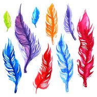 Watercolor feather set