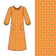 House dress nightdress front view N2