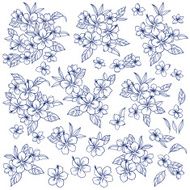 Hibiscus illustration N8
