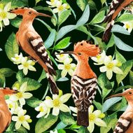 Seamless pattern of exotic birds leaf and flower N2