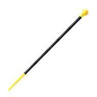 Cane isolated on a white background Vector illustration