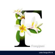 Letter F vector alphabet with frangipani flower ABC concept