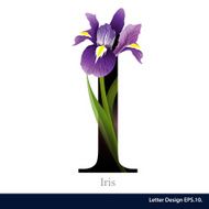Letter I vector alphabet with Iris flower ABC concept