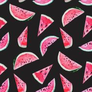 Watercolor watermelon melon pattern N9