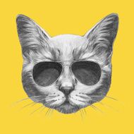 Hand drawn portrait of Cat with sunglasses