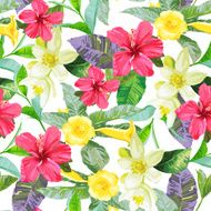 Tropical flowers on a white background