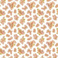 Paisley pattern N224
