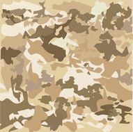 Vector camouflage pattern N5