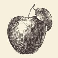Apple Vintage Engraved Illustration Hand Drawn