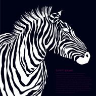 Animal white illustration silhouette zebra Vector