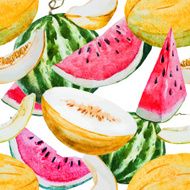 Watercolor watermelon melon pattern N10