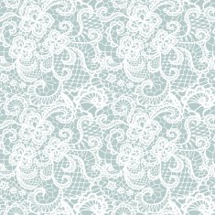 Lace seamless pattern with flowers N79