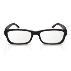 Glasses N27