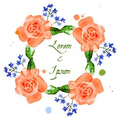 Illustration rose and forget-me-flower N4