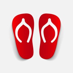 realistic design element slippers N7