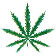 Marijuana N3