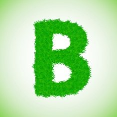 grass letter N3