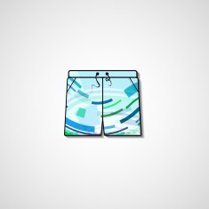 Abstract illustration on shorts N50