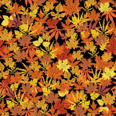 Abstract autumn background creative leaf fall