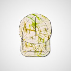 Abstract illustration on peaked cap N50