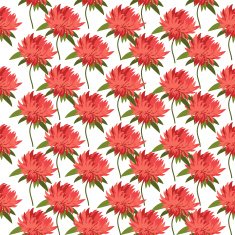 Postcard with flower Astra for your design
