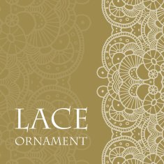 Vector lace ornament background N10