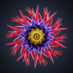 abstract 3d flower isolated object