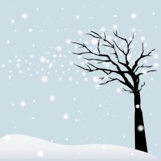 Winter Tree N11
