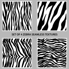 Set of four zebra seamless patterns collection