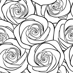 beautiful black and white seamless pattern in roses with contours