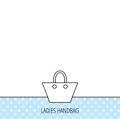 Ladies handbag icon Elegance women accessory N12