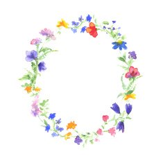 Vector watercolor wreath with colorful summer flowers N2