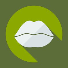 Flat modern design with shadow icon lips N5