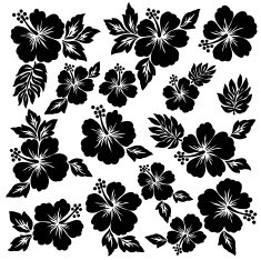 Hibiscus flower illustration N23