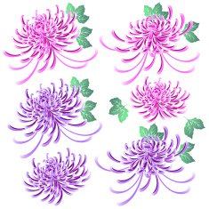 Japanese flower material N11